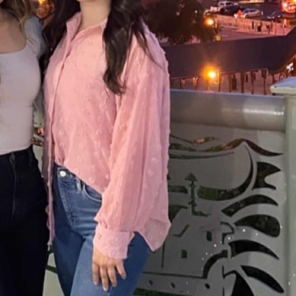 ASOS baby Pink Sheer Blouse
